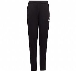 ADIDAS ENT22 TR PNT Y