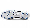 NIKE LEGEND 10 ACADEMY FG/MG