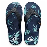 QUIKSILVER M CARVER PRINT