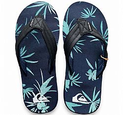 QUIKSILVER M CARVER PRINT