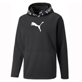 PUMA TRAIN POWER FLEECE