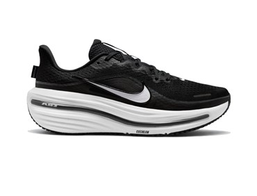 NIKE M WINFLO 12