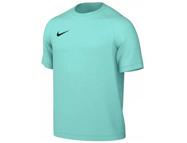 NIKE PARK VIII JERSEY