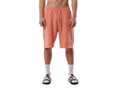 BODY ACTION NATURAL DYE SHO