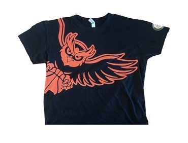 EAGLE