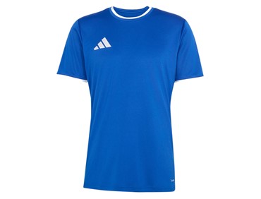 ADIDAS ENT 26 JSY ROY